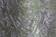 Woodhouse fibreglass roof work